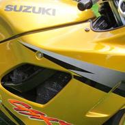 Suzuki GSX 600 F