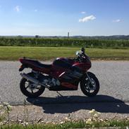 Honda CBR 600 F2 PC25