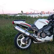 Aprilia RSV 1000 Tuono