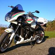 Aprilia RSV 1000 Tuono