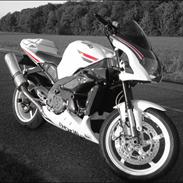 Aprilia RSV 1000 Tuono