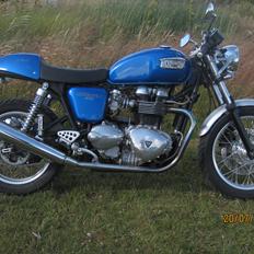 Triumph Thruxton
