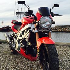 Suzuki SV 1000 N # SOLGT #