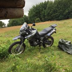 Aprilia Pegaso 650  trail