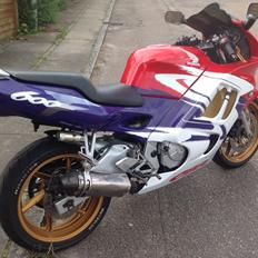 Honda CBR 600 F3 (SOLGT)