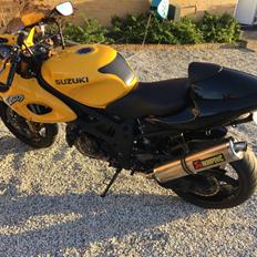 Suzuki Modified TL1000S