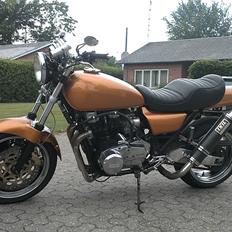 Kawasaki z1000 (ningo)