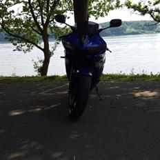 Yamaha Yzf R6