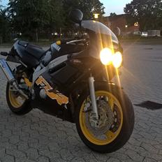 Yamaha FZR600 RG