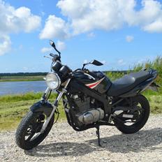 Suzuki GS 500 E