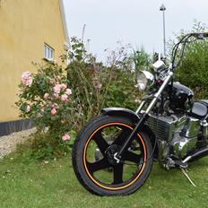 Regal Raptor DD250E-9