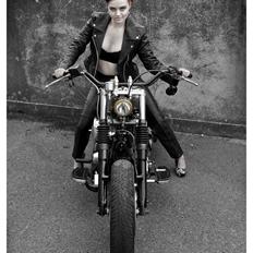 Harley Davidson Softail Bobber