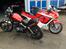 Kawasaki ZX10 Tomcat - Sammen med min anden Kawasaki