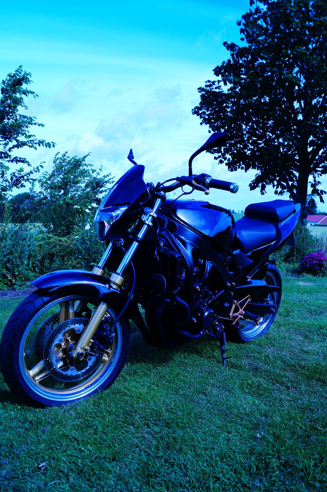 Honda CBR 600 F billede 2