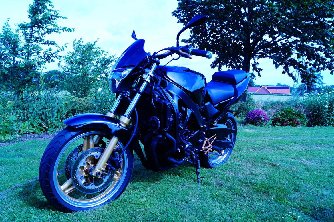 Honda CBR 600 F billede 7