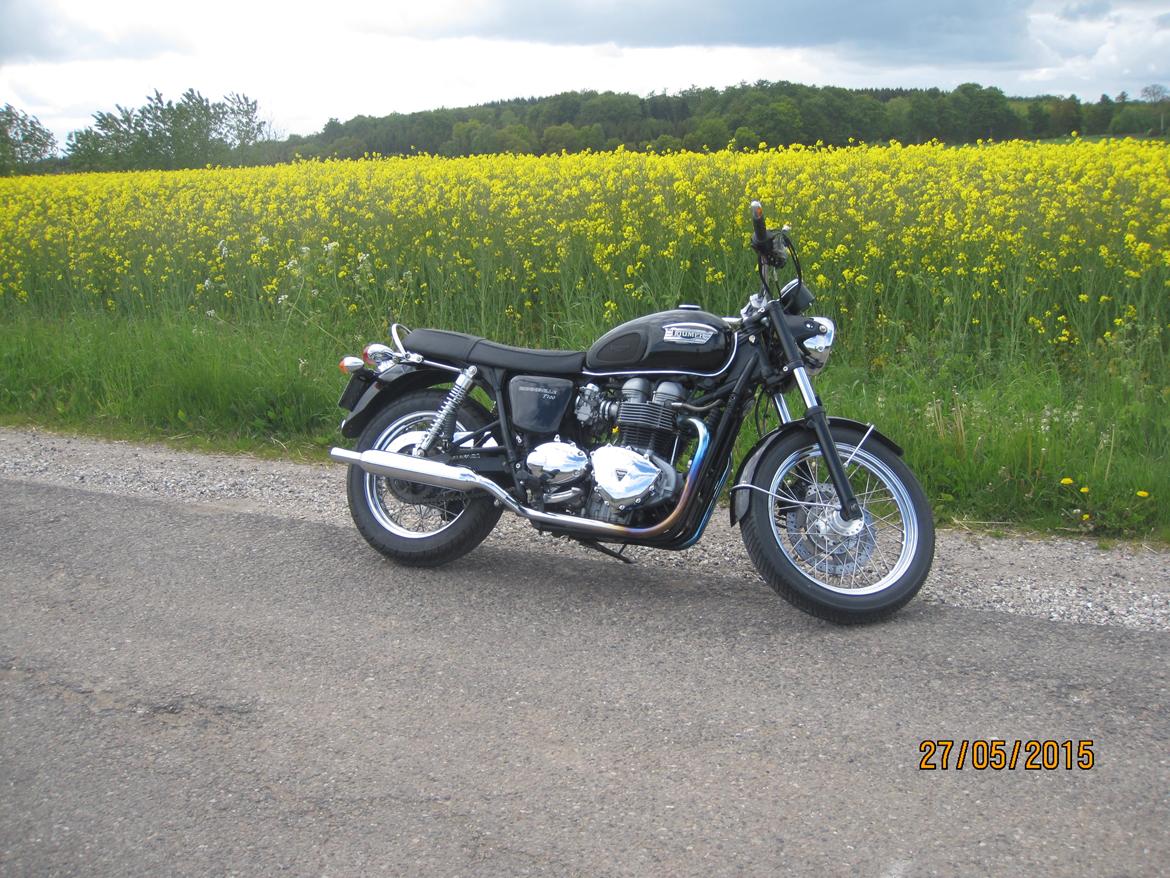 Triumph Bonneville billede 6