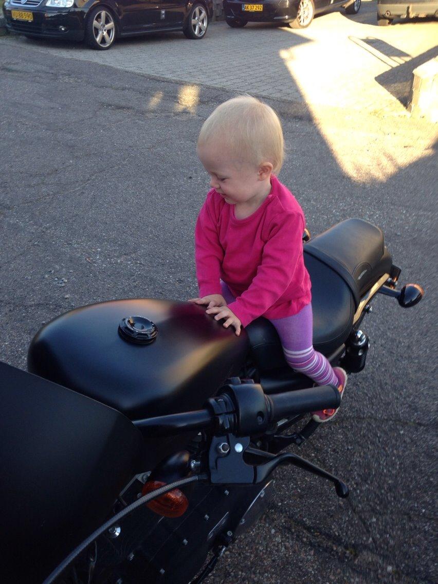 Harley Davidson Sportster Iron XL883 N billede 21