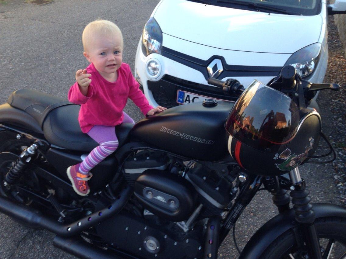 Harley Davidson Sportster Iron XL883 N billede 22