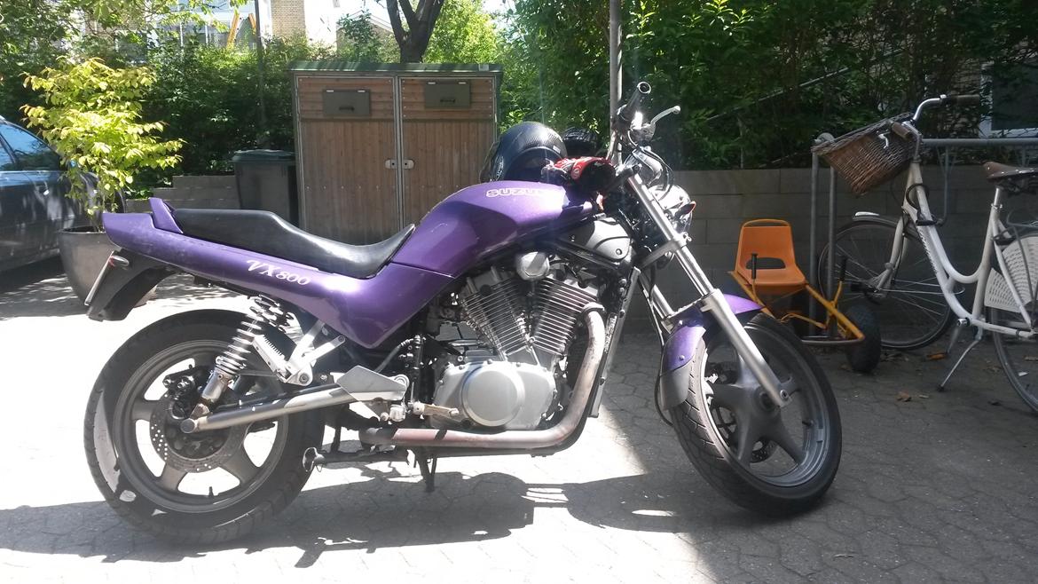 Suzuki vx 800  billede 3