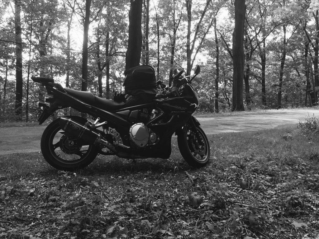 Suzuki GSF 1250 SA billede 1