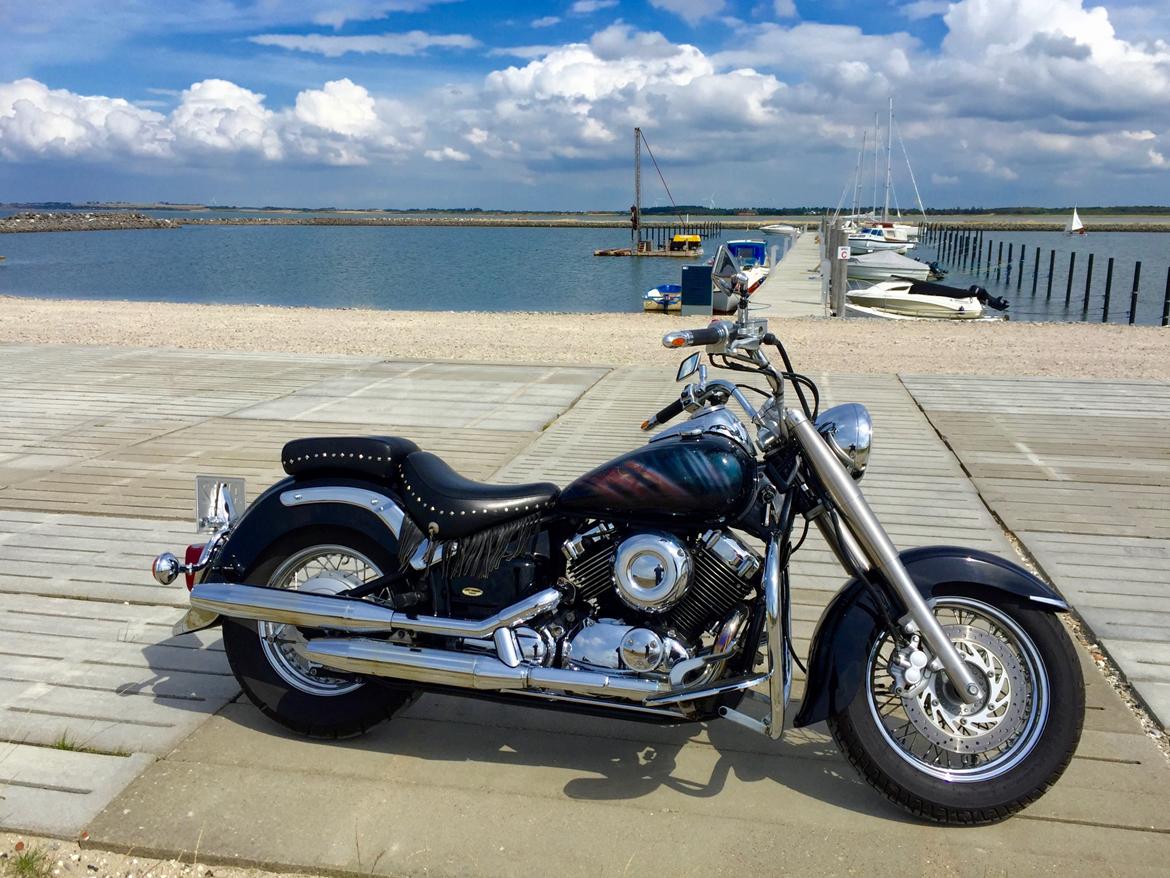 Yamaha XVS billede 7