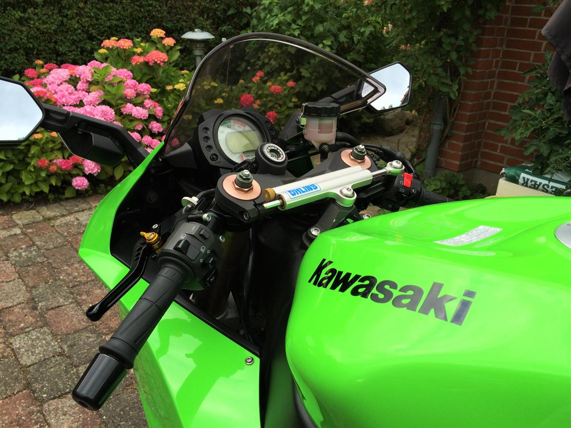 Kawasaki ZX10R billede 5