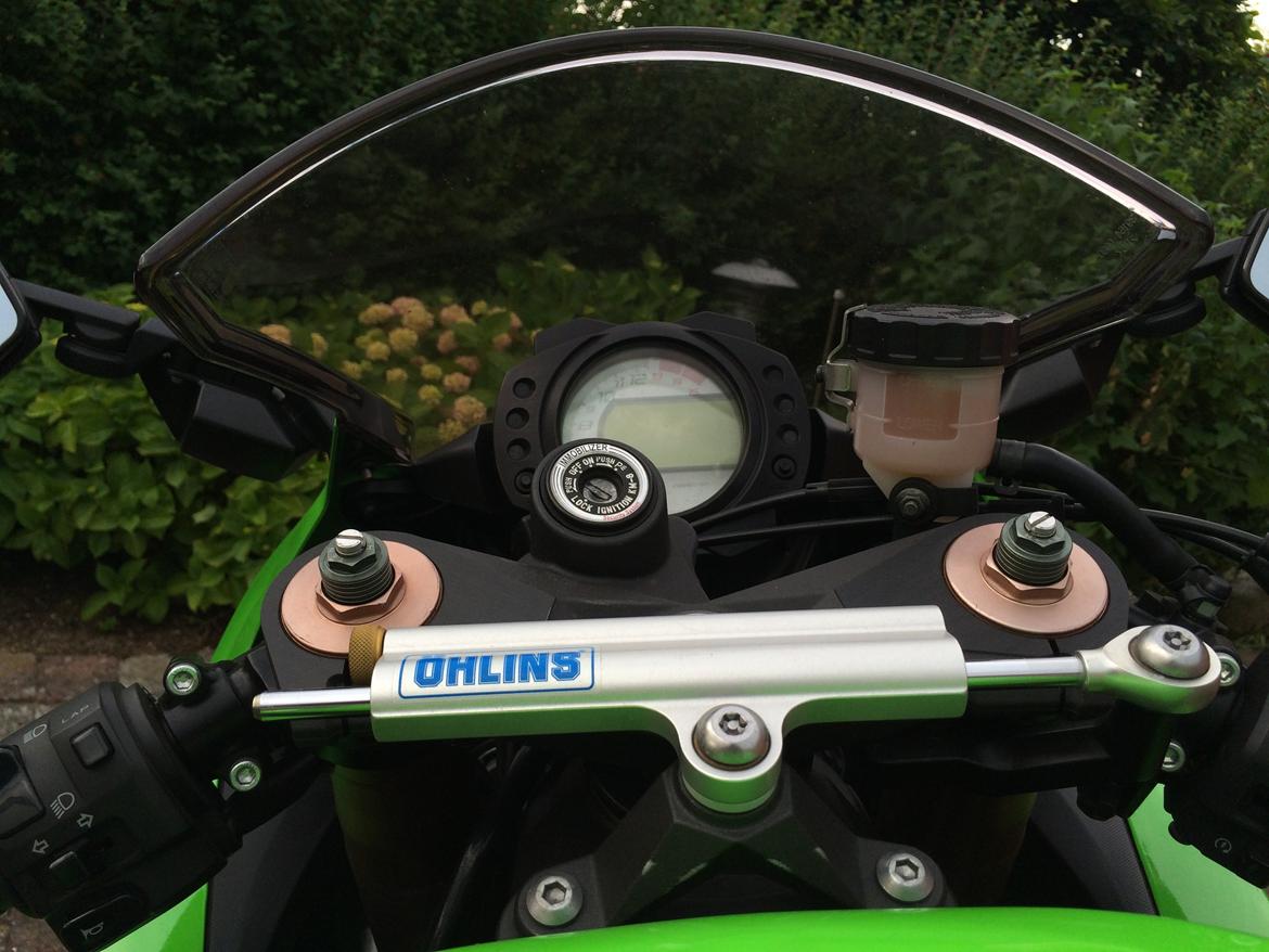 Kawasaki ZX10R billede 15