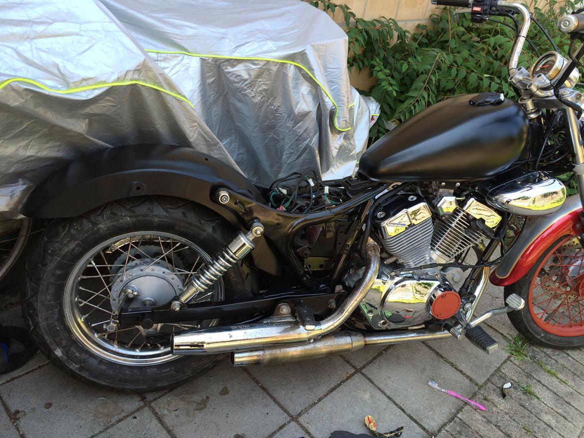 Ledow Borelli billede 16