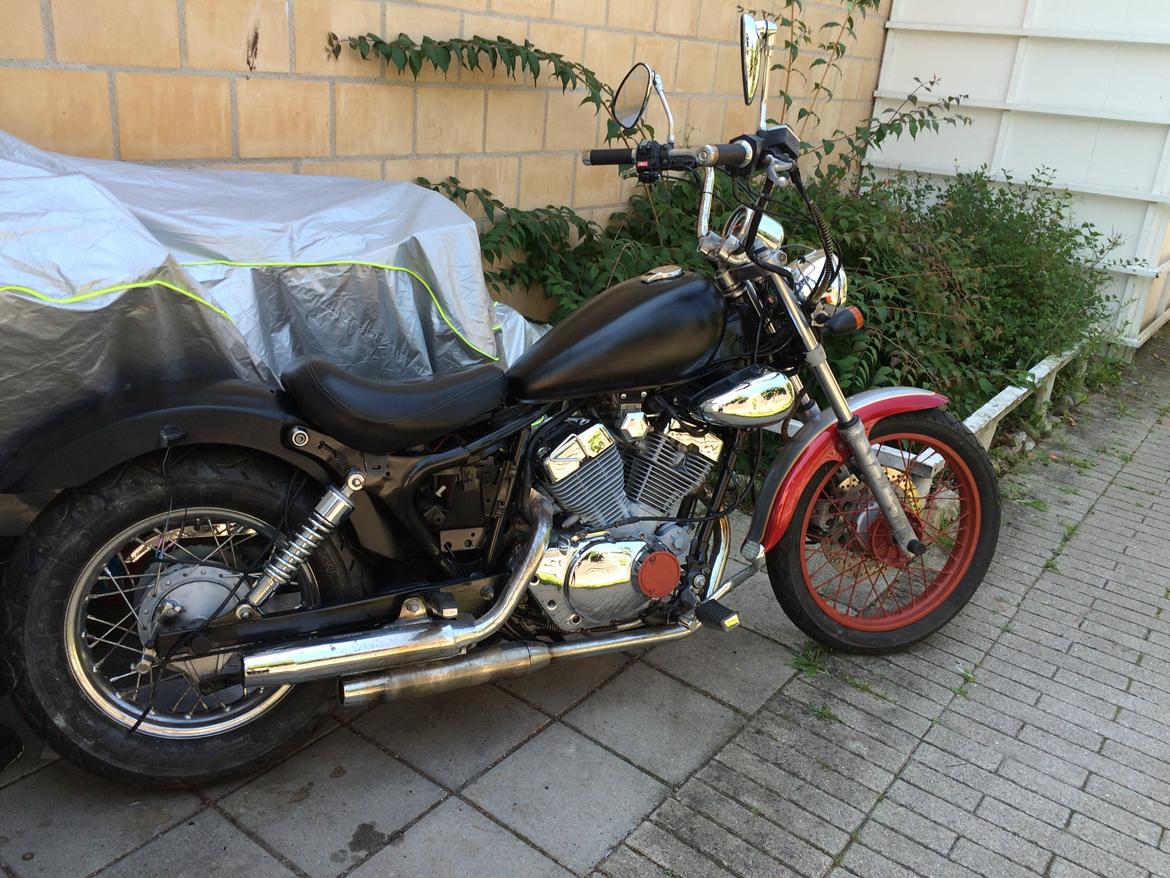 Ledow Borelli billede 17