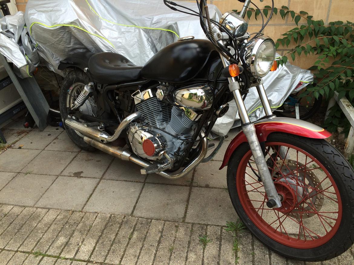 Ledow Borelli billede 20