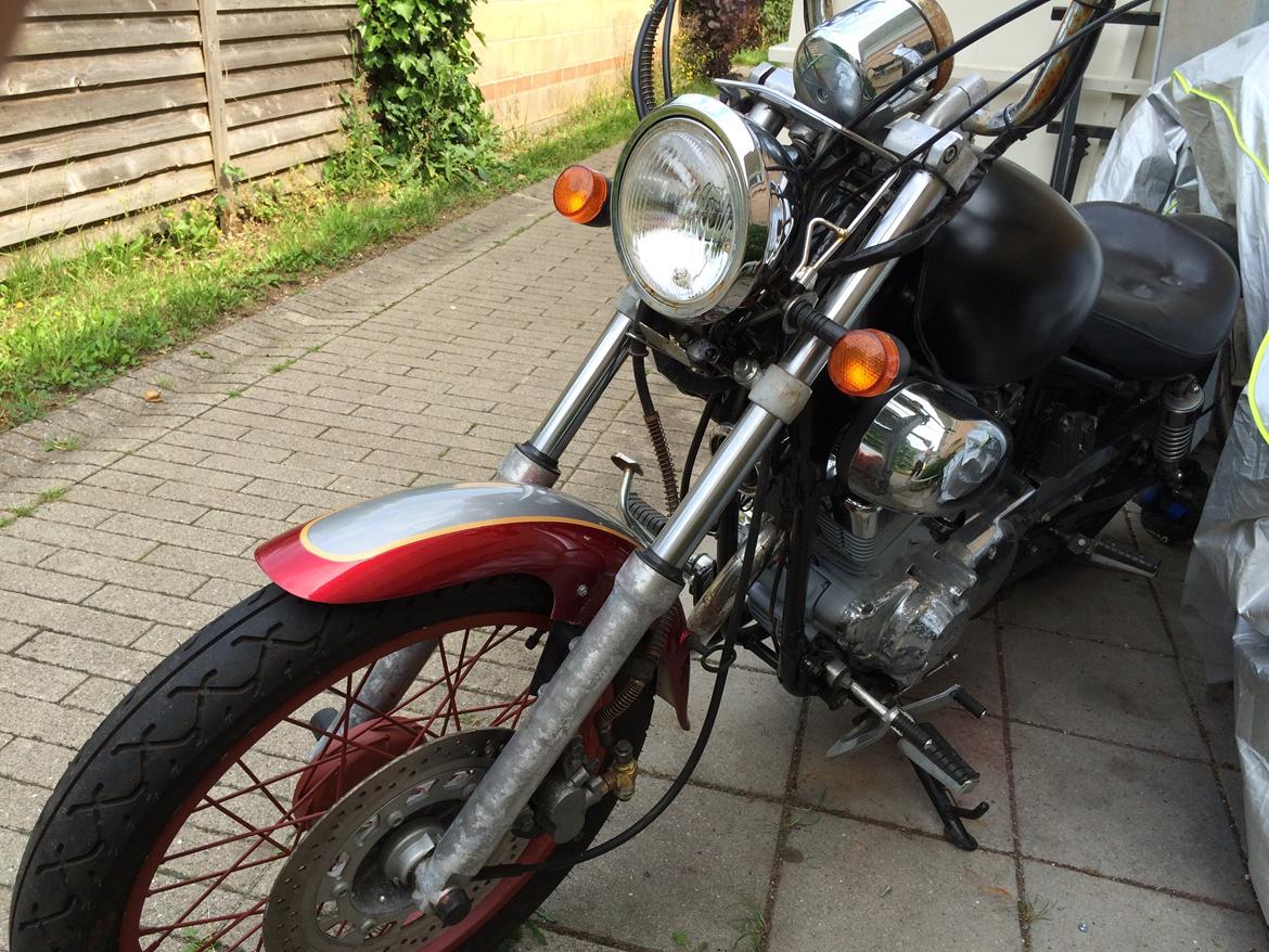 Ledow Borelli billede 21