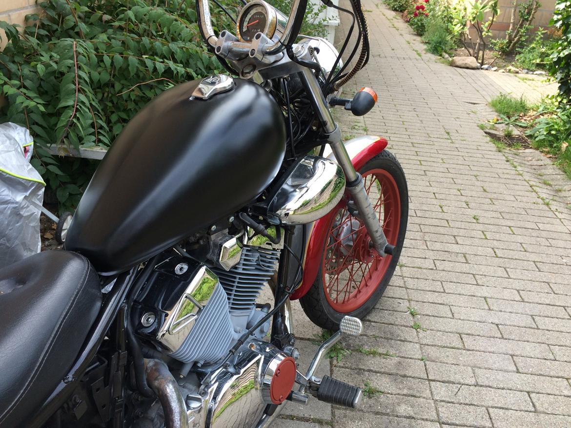 Ledow Borelli billede 19