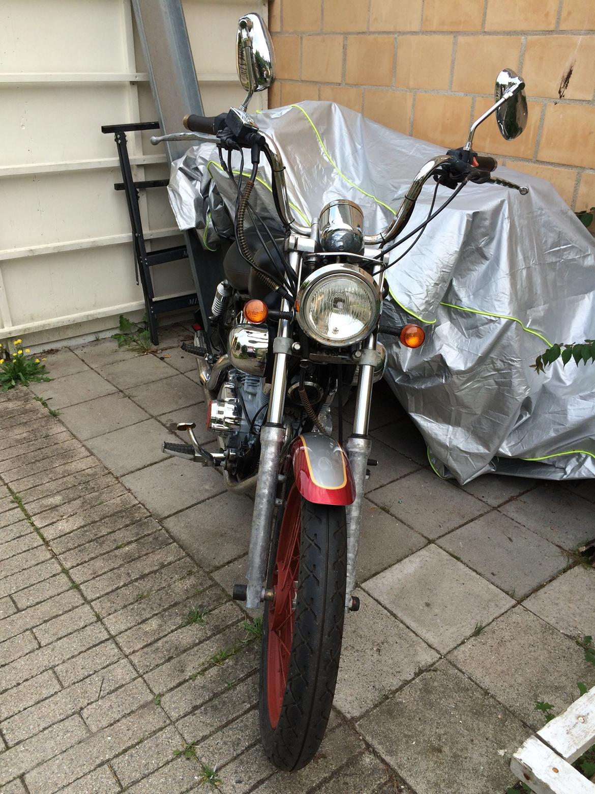 Ledow Borelli billede 23