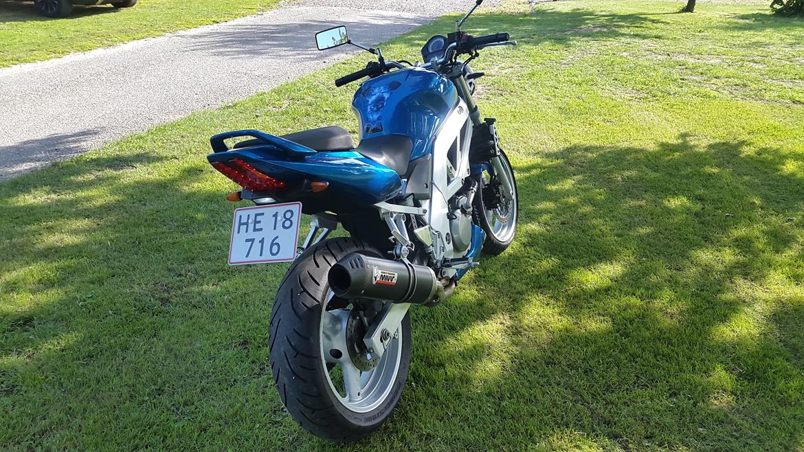 Suzuki SV 650 N billede 4