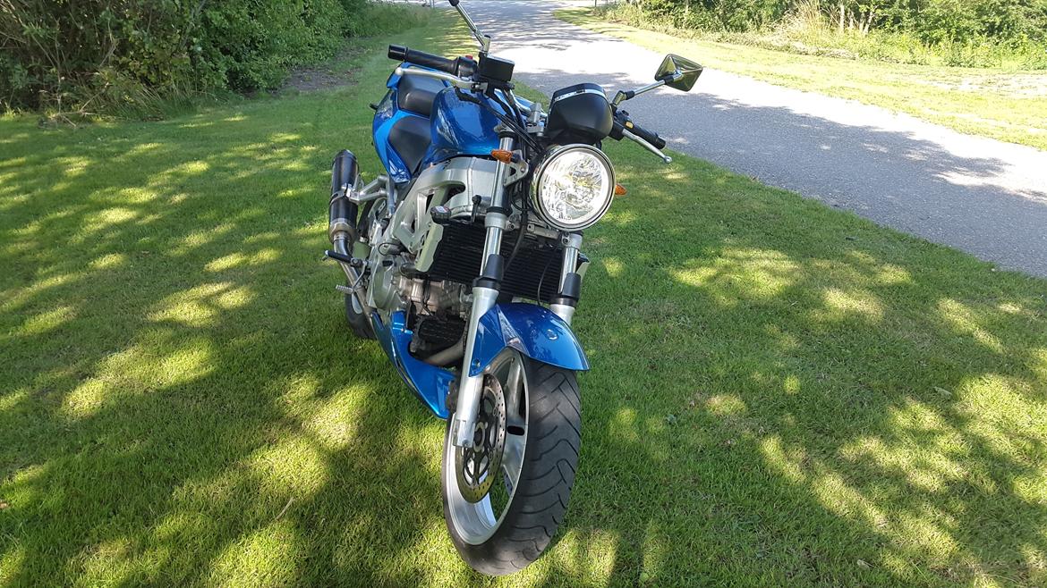 Suzuki SV 650 N billede 5