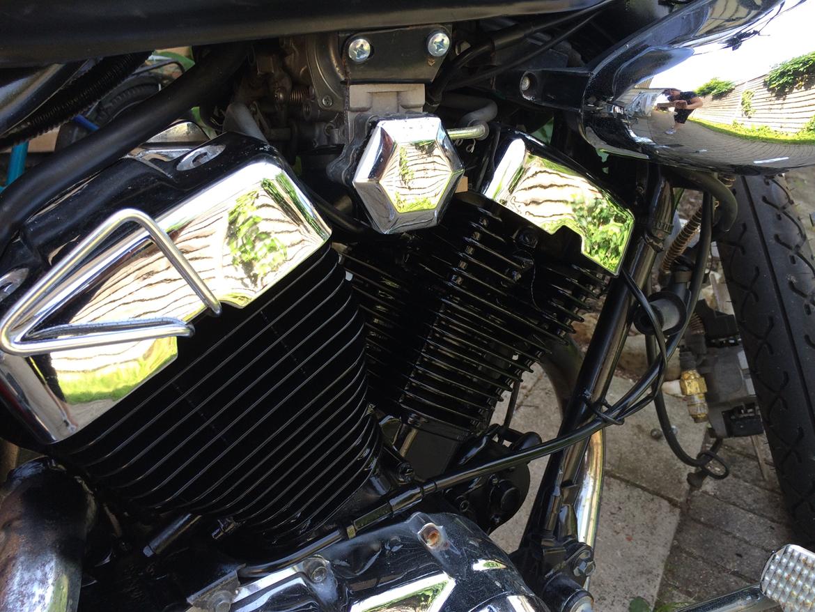 Ledow Borelli billede 25