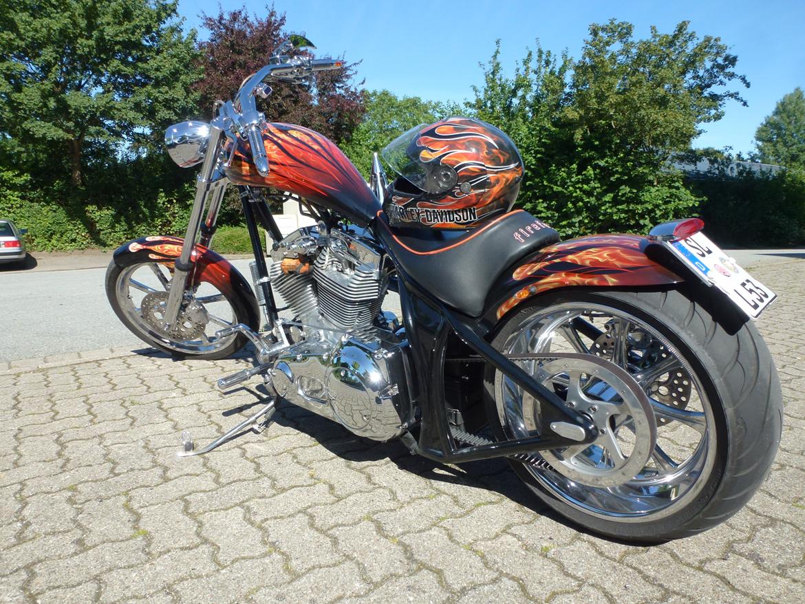 Harley Davidson Costum Bike billede 23