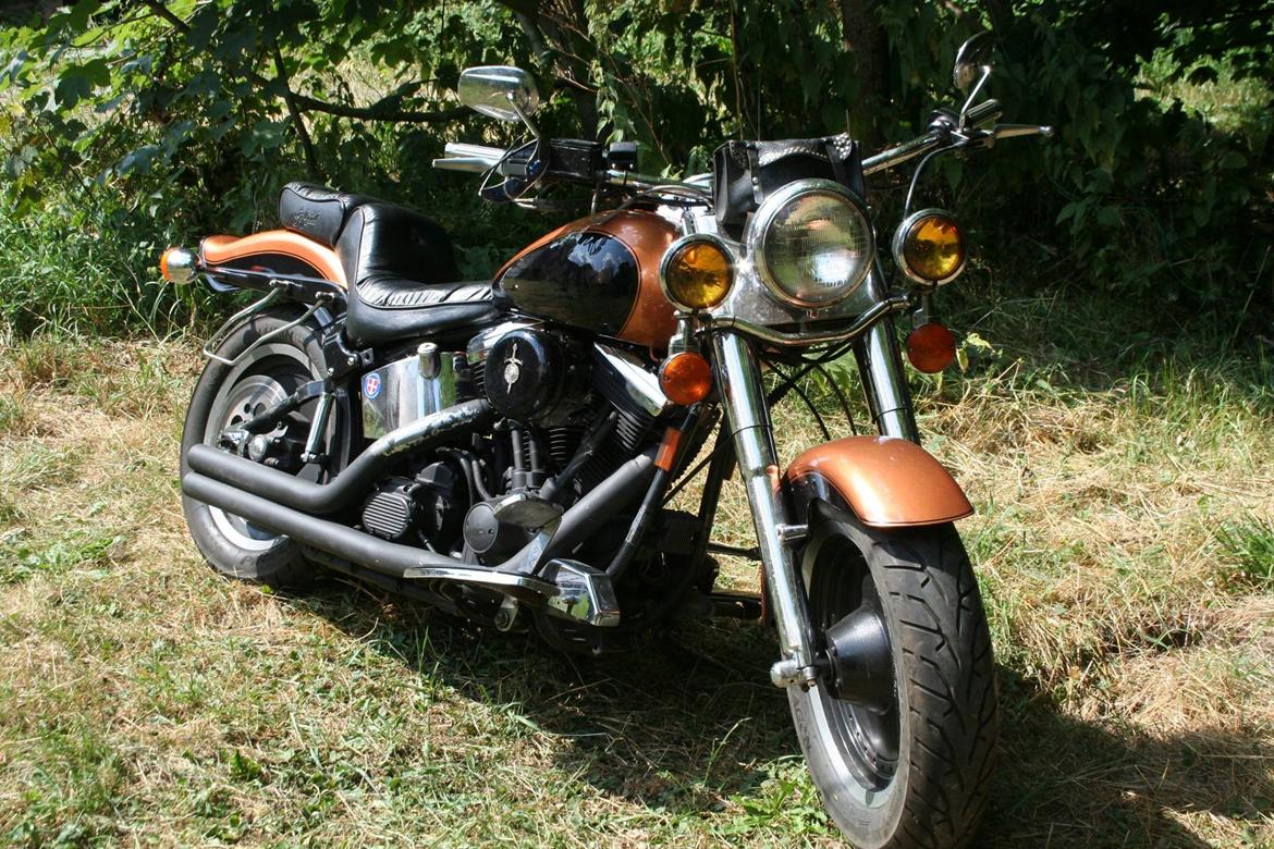 Harley Davidson Fat Boy billede 12