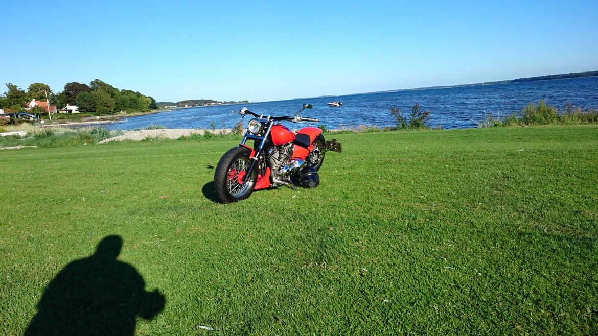 Yamaha XVS Dragstar billede 11