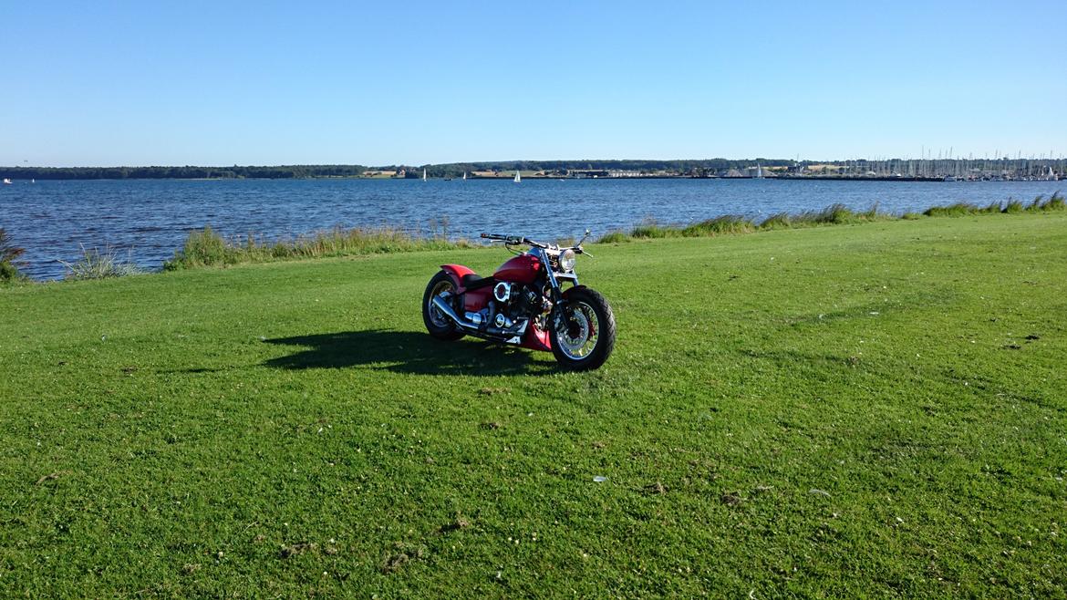 Yamaha XVS Dragstar billede 13