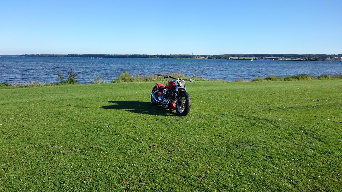 Yamaha XVS Dragstar billede 12