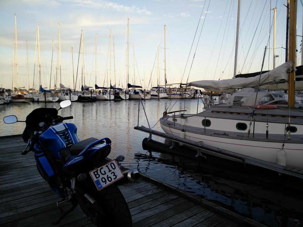 Suzuki SV650S billede 2