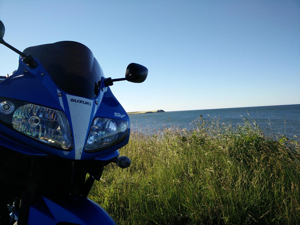 Suzuki SV650S billede 4
