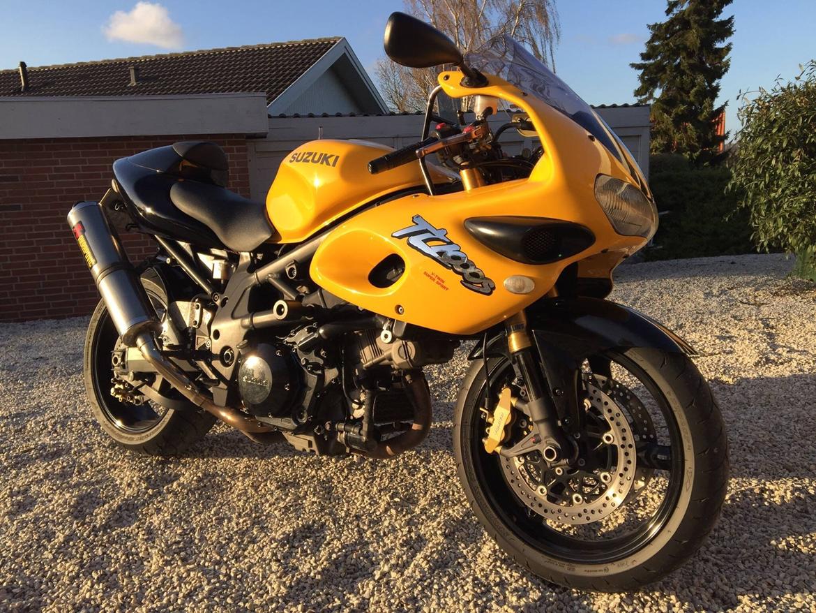 Suzuki Modified TL1000S billede 2