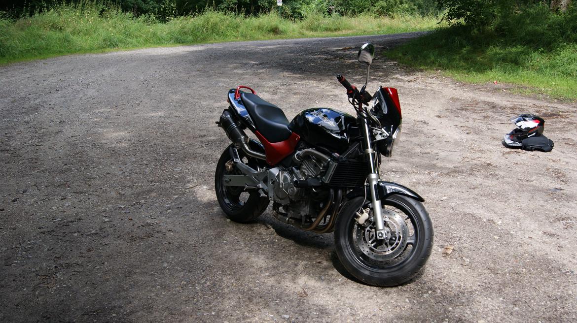 Honda CB600F Hornet billede 12