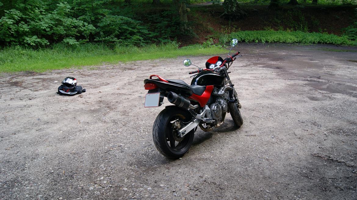 Honda CB600F Hornet billede 14