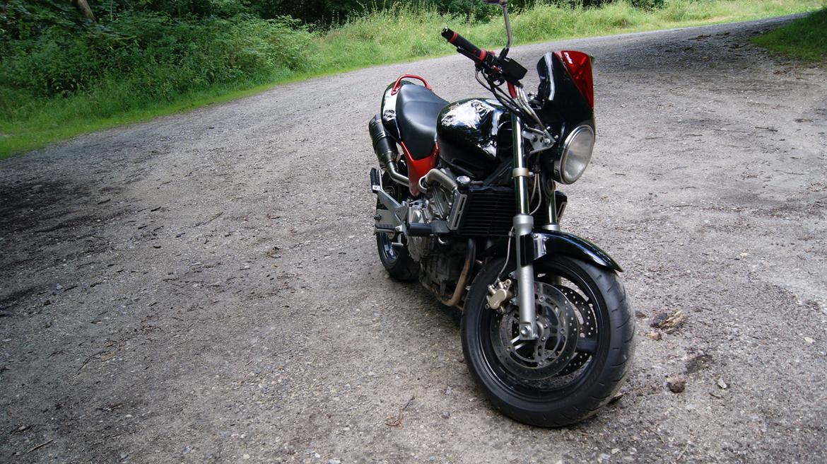 Honda CB600F Hornet billede 11