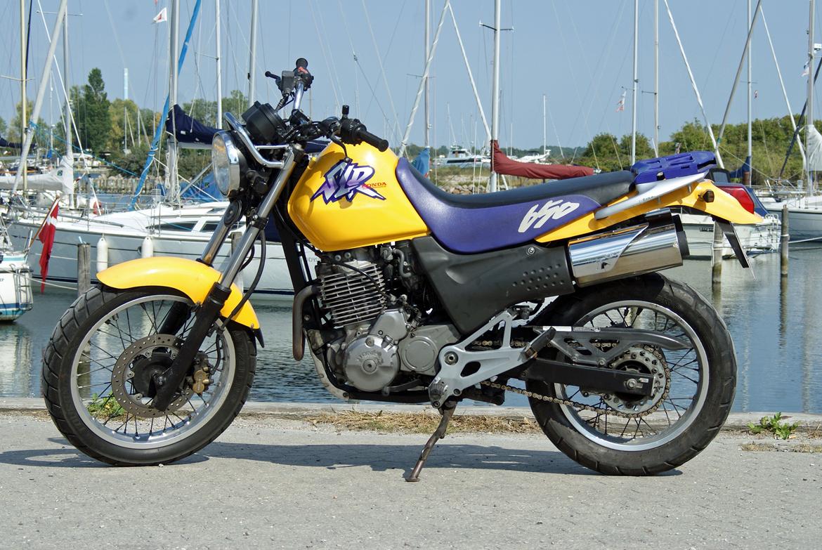 Honda SLR 650 billede 2