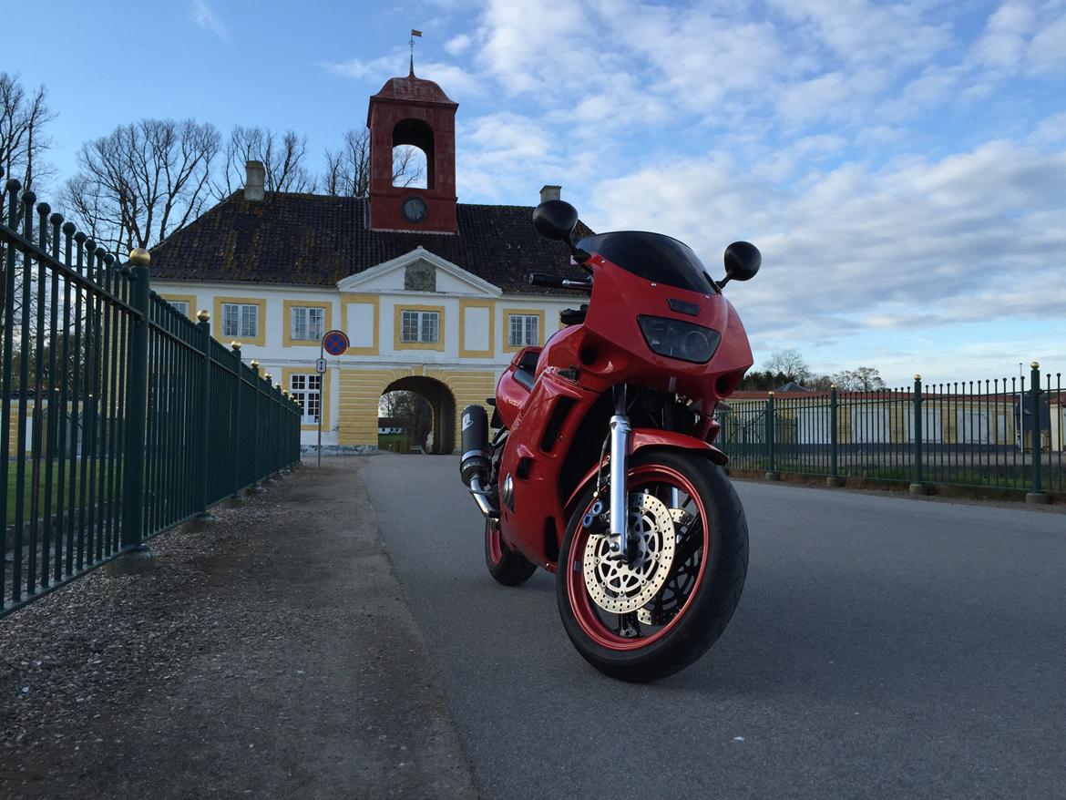 Yamaha FZR 600 Genesis - Valdemar Slot, sommer 2015 billede 2