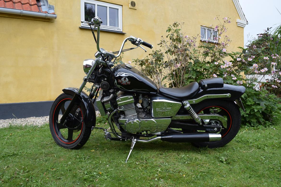 Regal Raptor DD250E-9 billede 2